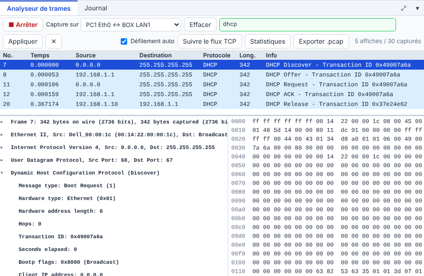 Capture DHCP