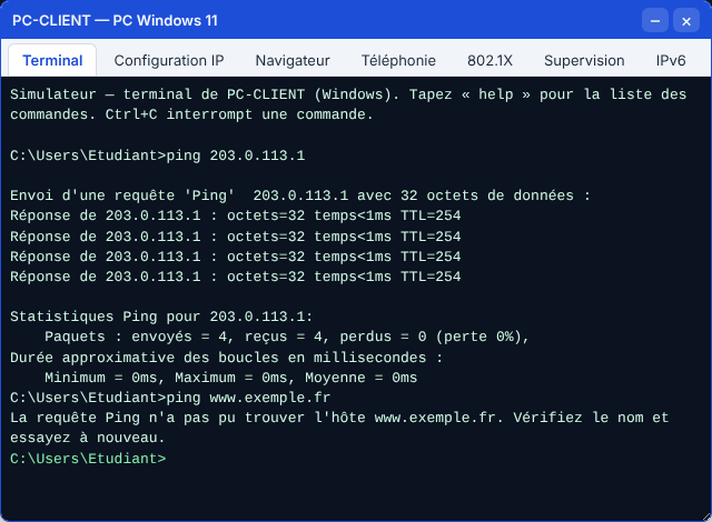 Internet joignable, pas le nom